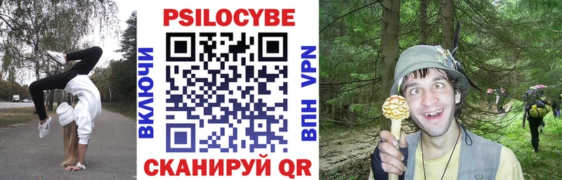 закладка  Михайловка  Галлюциногенные грибы мухоморы 